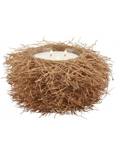Ambre Shaman Nest Candle