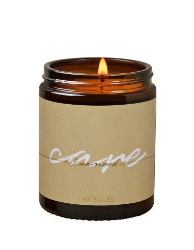 All We Need Is Care candle 140g